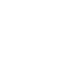 icône Facebook