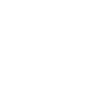 icône Instagram